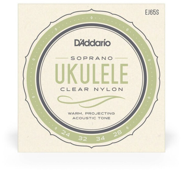 D'Addario EJ65S