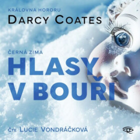 Hlasy v bouři - Hlasy v bouři - audiokniha