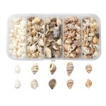 Přírodní mořské mini mušle bez dírky - sada v krabičce 50g - cca 6 ~ 18 mm - 1 balení