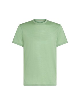 Pánské merino triko s krátkým rukávem ICEBREAKER Mens 125 Cool-Lite Speed SS Tee, Seaglass velikost: M
