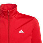 Tepláková souprava adidas Essentials Big Logo Junior IJ6305 164cm