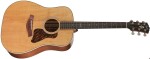 Taylor Gold Label 510e