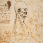 Nástěnný poznámkový kalendář 2026 NOTIQUE - Leonardo da Vinci, 30 x 30 cm
