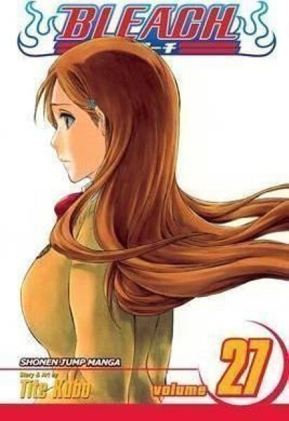 Bleach 27 (anglicky) - Noriaki Kubo