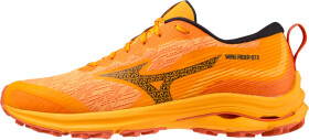 Běžecké boty Mizuno WAVE RIDER GTX J1GC227902 Velikost obuvi EU: