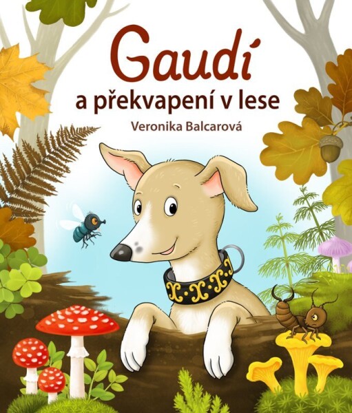Gaudí a překvapení v lese - Veronika Balcarová