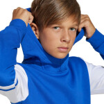 Adidas Squadra 25 Sweat Hoody Jr JD4806 Mikina 164 cm