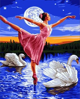 Diamantové malování Baletka mezi labutěmi