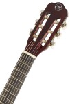 Tanglewood EM C1
