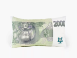 Ptakoviny.cz Polštář bankovka Kč 2000 - 30x50cm