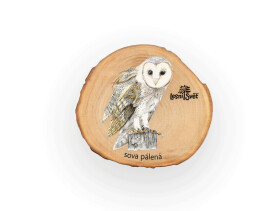 Magnet letokruh - Sova pálená