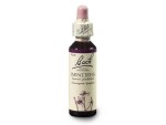 Netýkavka žlaznatá (Impatiens) 20 ml - Bachovy esence Dr.Bach