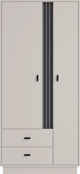 Šatní skříň AllMo AL2 Barva korpusu + barva dveří: Kašmír + Antracit