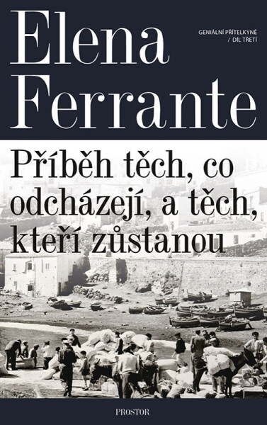 Geniální přítelkyně: Příběh těch, co odcházejí, a těch, kteří zůstanou - Elena Ferrante