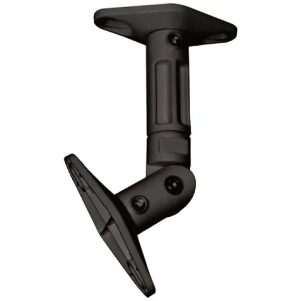 Neomounts SPEAKER-W100BLACK Stropní držák pro reproduktor černá / nosnost 5kg / naklápění +90° -90° (SPEAKER-W100BLACK)