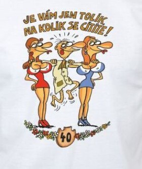 Divja.cz Tričko - 40 Je vám jen tolik, na kolik se cítíte - pro muže Velikost: M