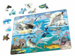Puzzle MAXI Arktida/75 dílků,