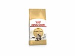 Royal canin Breed Feline Maine Coon  2kg