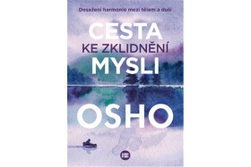 Cesta ke zklidnění mysli