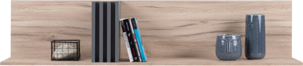 Police AllMo AL13 Barva korpusu + barva dveří: Dub Estena + Antracit