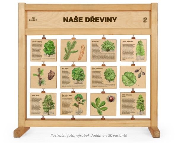Tabuľky poznania stolné - Naše dreviny SK