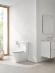 GROHE - Essence WC sedátko se sklápěním SoftClose, duroplast, alpská bílá 39577000