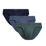 Pánské slipy 3 pack 132 - Atlantic vícebarevná XXL