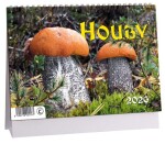 Stolní kalendář ARIA 2026 - Houby
