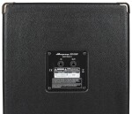 Ampeg SVT-210AV