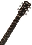 Ibanez ACFS580CE