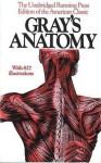 Gray´s Anatomy - Henry Gray