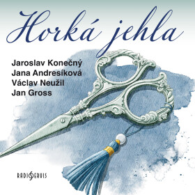 Horká jehla - Josef Štefan Kubín - audiokniha