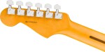Fender American Professional Stratocaster MN ACB