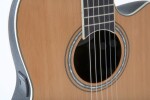 Ovation CS24C-4-G