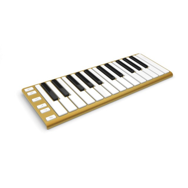 CME Xkey 25 Gold