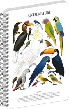 NOTIQUE Animalium – Ptáci / Spirálový blok / A5 / Čistý