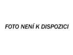 Karneval vítězství