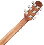 Ibanez AAD100E Natural