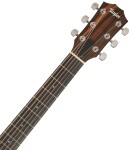 Taylor 210ce