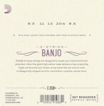 D'Addario EJ60+