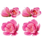 Dekorace oplatková - Magnólie růžová 6 ks
