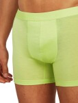 Pánské merino boxerky ICEBREAKER Mens 125 Cool-Lite Anatomica Boxers, Peridot velikost: L