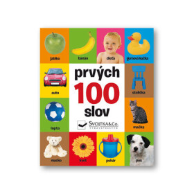 Prvých 100 slov