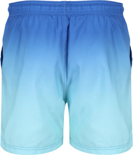 Pánské plavkové šortky Swim Short S model 18669771 - Regatta