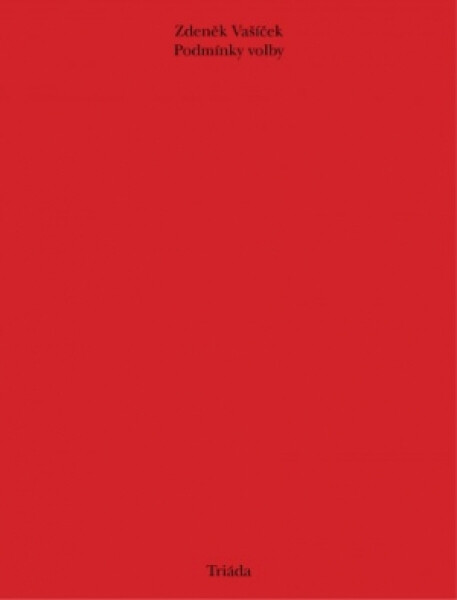 Podmínky volby - Zdeněk Vašíček