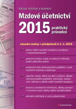 Mzdové účetnictví 2015 - Václav Vybíhal - e-kniha