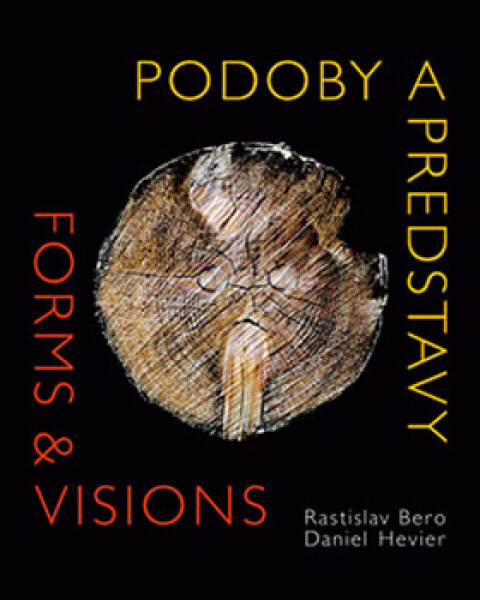Podoby a predstavy - Daniel Hevier
