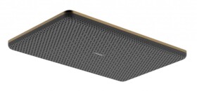 HANSGROHE - Raindance Alive Q Hlavová sprcha, 21x34 cm, 2 proudy, kartáčovaný bronz 24530140