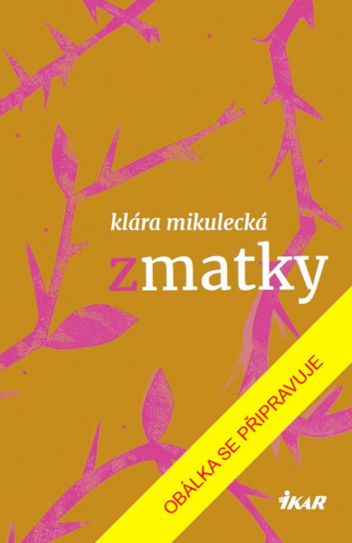 Zmatky - Klára Mikulecká