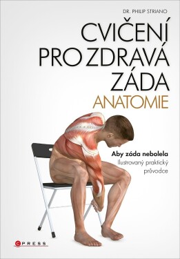 Cvičení pro zdravá záda anatomie